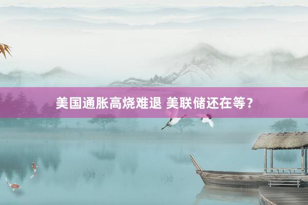 美国通胀高烧难退 美联储还在等？