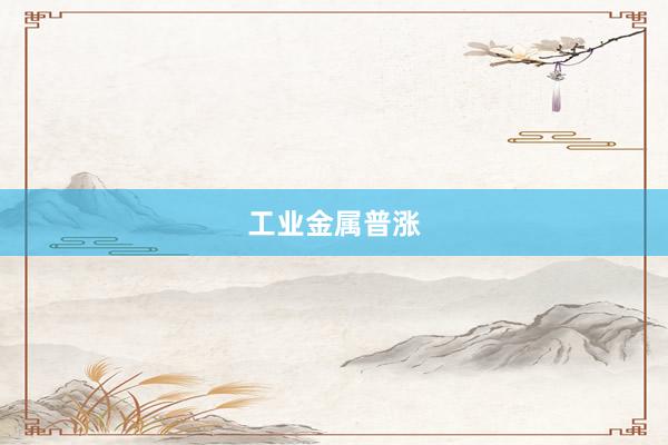 工业金属普涨