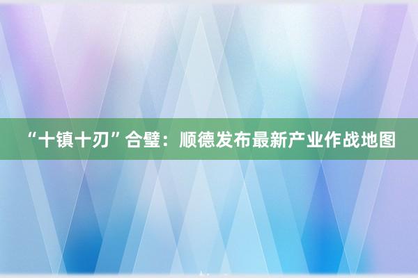 “十镇十刃”合璧：顺德发布最新产业作战地图