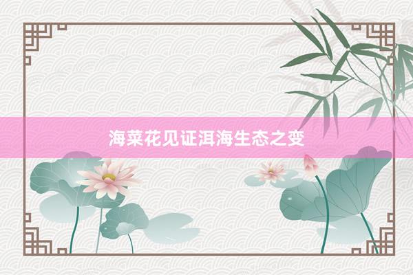 海菜花见证洱海生态之变