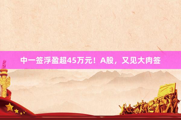 中一签浮盈超45万元！A股，又见大肉签