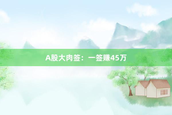 A股大肉签：一签赚45万