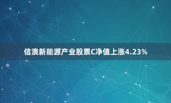 信澳新能源产业股票C净值上涨4.23%