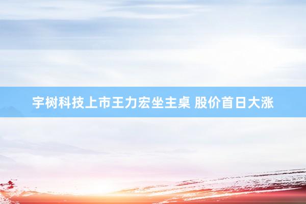 宇树科技上市王力宏坐主桌 股价首日大涨