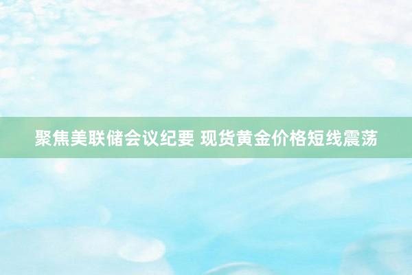 聚焦美联储会议纪要 现货黄金价格短线震荡