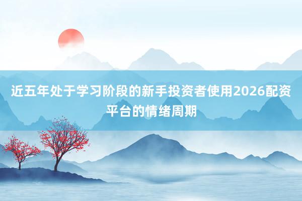 近五年处于学习阶段的新手投资者使用2026配资平台的情绪周期