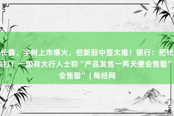 长鑫、宇树上市爆火，但新股中签太难！银行：把钱给我帮你打！一国有大行人士称“产品发售一两天便会售罄” | 每经网
