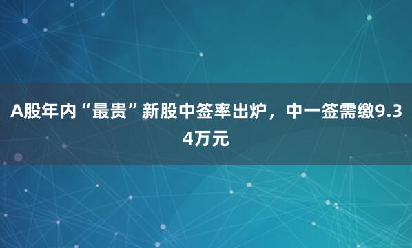 A股年内“最贵”新股中签率出炉，中一签需缴9.34万元