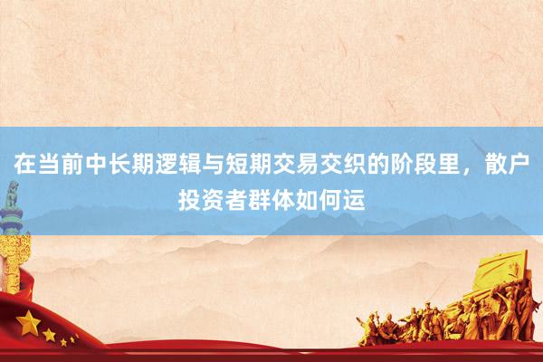 在当前中长期逻辑与短期交易交织的阶段里，散户投资者群体如何运