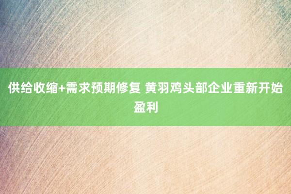 供给收缩+需求预期修复 黄羽鸡头部企业重新开始盈利