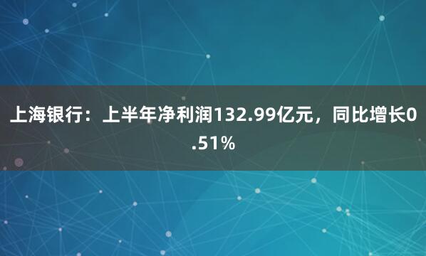 上海银行：上半年净利润132.99亿元，同比增长0.51%