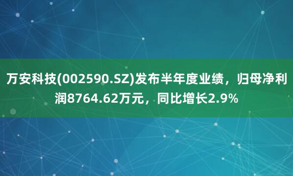 万安科技(002590.SZ)发布半年度业绩，归母净利润8764.62万元，同比增长2.9%