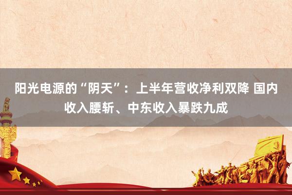 阳光电源的“阴天”：上半年营收净利双降 国内收入腰斩、中东收入暴跌九成