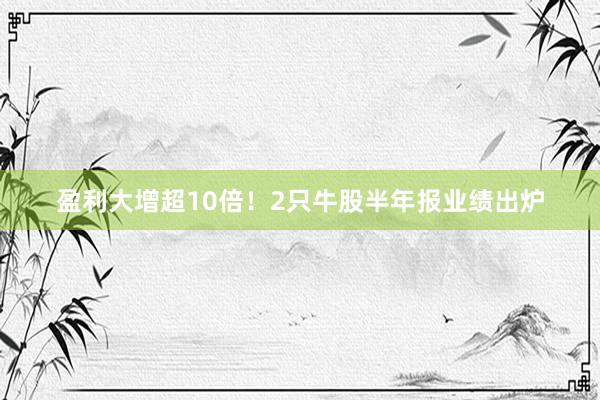 盈利大增超10倍！2只牛股半年报业绩出炉