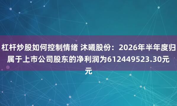 杠杆炒股如何控制情绪 沐曦股份：2026年半年度归属于上市公司股东的净利润为612449523.30元