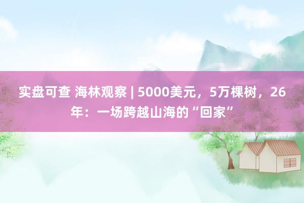 实盘可查 海林观察 | 5000美元，5万棵树，26年：一场跨越山海的“回家”