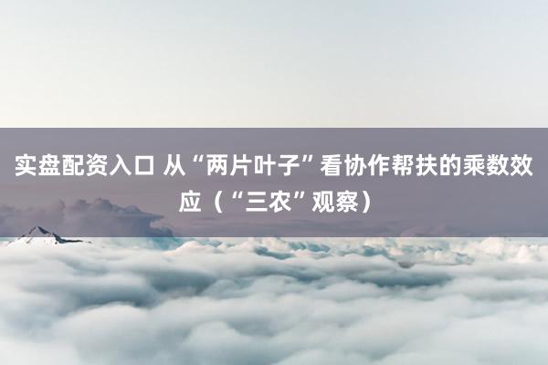 实盘配资入口 从“两片叶子”看协作帮扶的乘数效应（“三农”观察）