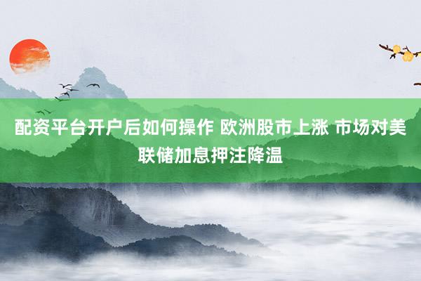 配资平台开户后如何操作 欧洲股市上涨 市场对美联储加息押注降温