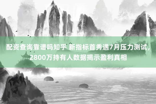 配资查询靠谱吗知乎 新指标首秀遇7月压力测试，2800万持有人数据揭示盈利真相