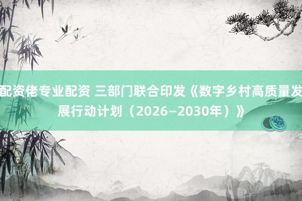 配资佬专业配资 三部门联合印发《数字乡村高质量发展行动计划（2026—2030年）》