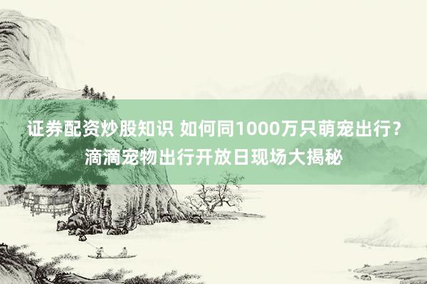 证券配资炒股知识 如何同1000万只萌宠出行？滴滴宠物出行开放日现场大揭秘