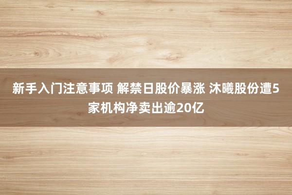 新手入门注意事项 解禁日股价暴涨 沐曦股份遭5家机构净卖出逾20亿