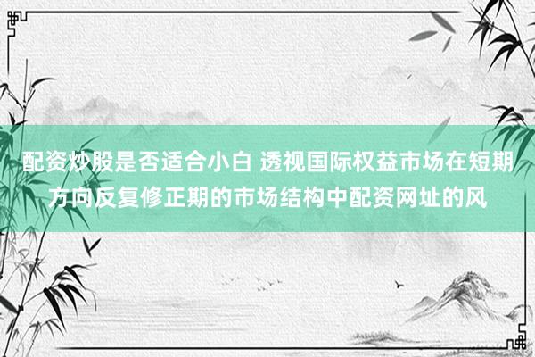 配资炒股是否适合小白 透视国际权益市场在短期方向反复修正期的市场结构中配资网址的风