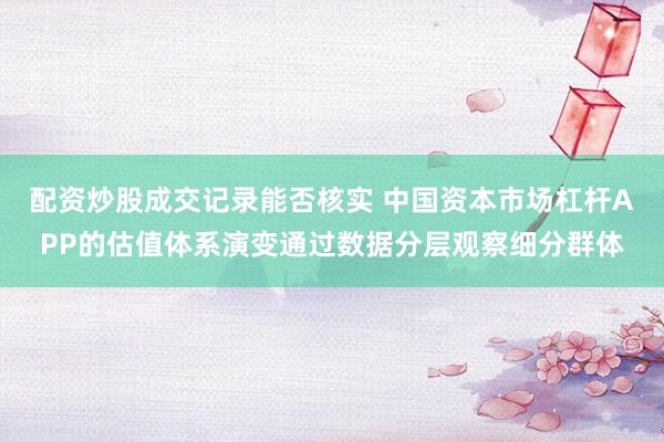 配资炒股成交记录能否核实 中国资本市场杠杆APP的估值体系演变通过数据分层观察细分群体