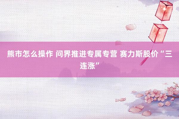 熊市怎么操作 问界推进专属专营 赛力斯股价“三连涨”