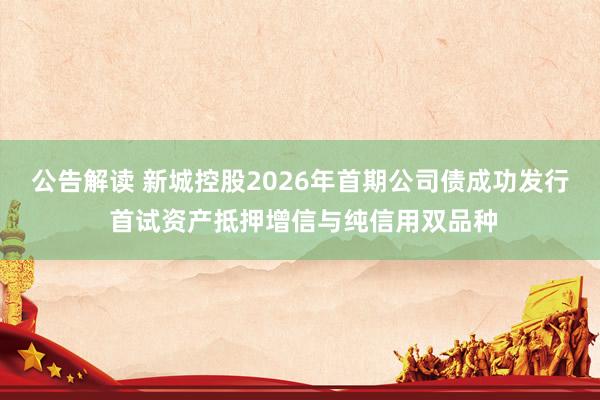 公告解读 新城控股2026年首期公司债成功发行 首试资产抵押增信与纯信用双品种