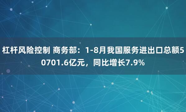 杠杆风险控制 商务部：1-8月我国服务进出口总额50701.6亿元，同比增长7.9%