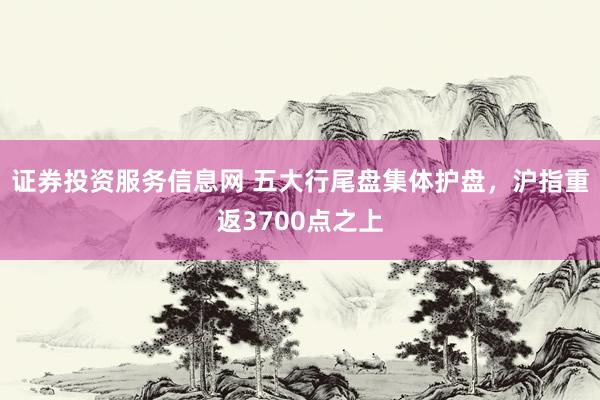 证券投资服务信息网 五大行尾盘集体护盘，沪指重返3700点之上