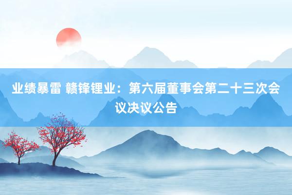 业绩暴雷 赣锋锂业：第六届董事会第二十三次会议决议公告