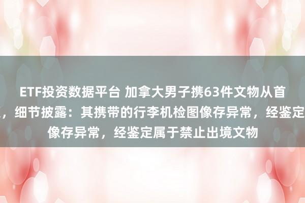 ETF投资数据平台 加拿大男子携63件文物从首都机场出境被查获，细节披露：其携带的行李机检图像存异常，经鉴定属于禁止出境文物