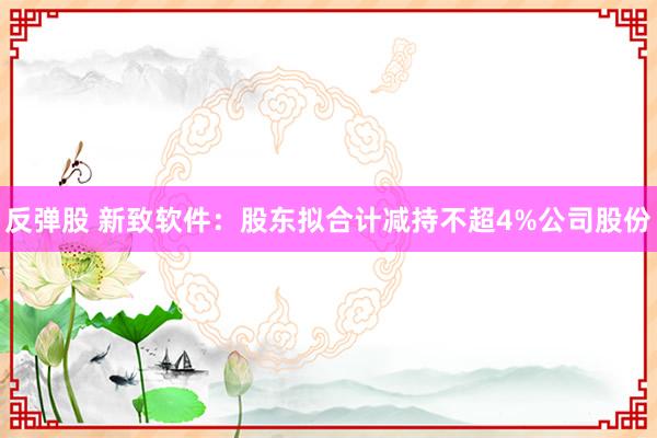 反弹股 新致软件：股东拟合计减持不超4%公司股份
