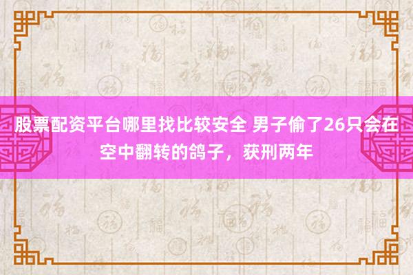 股票配资平台哪里找比较安全 男子偷了26只会在空中翻转的鸽子，获刑两年