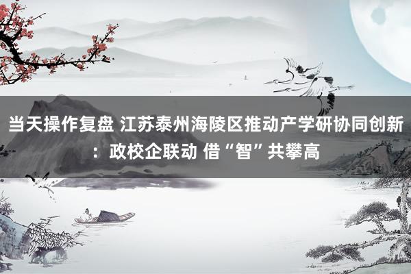 当天操作复盘 江苏泰州海陵区推动产学研协同创新：政校企联动 借“智”共攀高